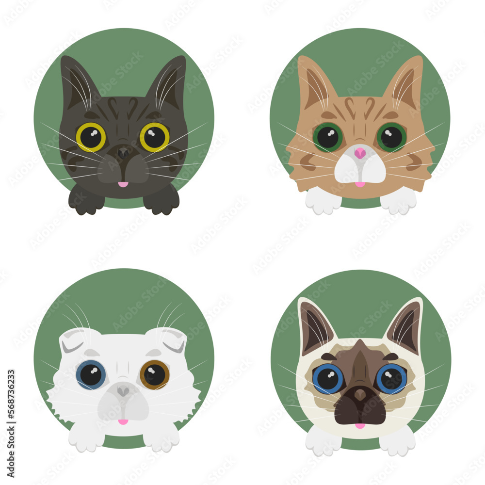 Cats set face icon vector illustration design isolated Cats set face icon vector illustration design isolated