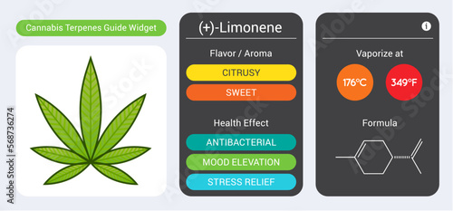 Cannabis Terpene Guide Information Chart. Aroma and Flavor with Health Benefits and Vaporize Temperature. Vector.