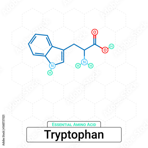 Tryptophan Chemical Structure Essential Amino Acid Organic Molecules, Functional, Side Chain, Carboxyl, Amino Group, Protein Building Block Isolated on Whited Background, Chemistry, Biology