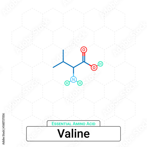 Valine Chemical Structure Essential Amino Acid Organic Molecules, Functional, Side Chain, Carboxyl, Amino Group, Protein Building Block Isolated on Whited Background, Chemistry, Biology