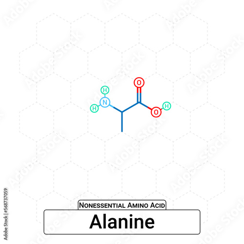 Alanine Chemical Structure Non-Essential Amino Acid Organic Molecules, Functional, Side Chain, Carboxyl, Amino Group, Protein Building Block Isolated on Whited Background, Chemistry, Biology
