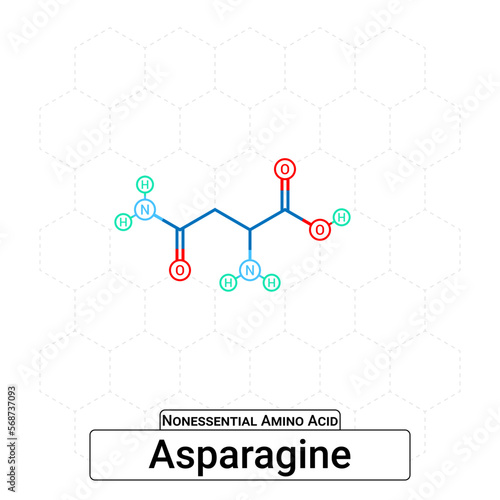 Asparagine Chemical Structure Non-Essential Amino Acid Organic Molecules, Functional, Side Chain, Carboxyl, Amino Group, Protein Building Block Isolated on Whited Background, Chemistry, Biology