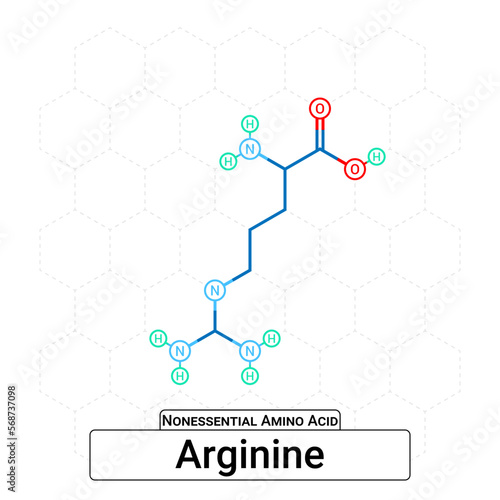 Arginine Chemical Structure Non-Essential Amino Acid Organic Molecules, Functional, Side Chain, Carboxyl, Amino Group, Protein Building Block Isolated on Whited Background, Chemistry, Biology