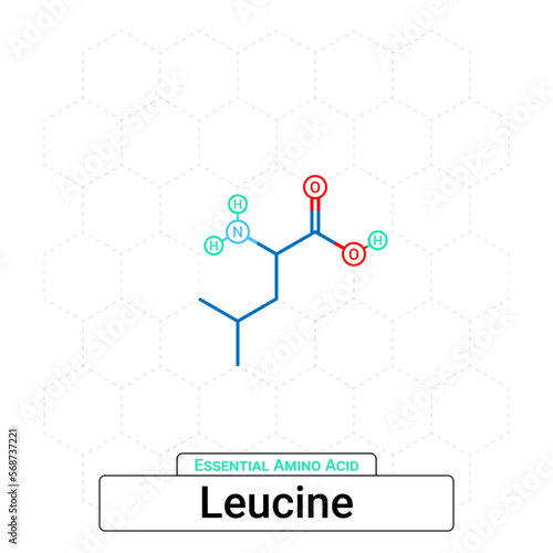 Leucine Chemical Structure Essential Amino Acid Organic Molecules, Functional, Side Chain, Carboxyl, Amino Group, Protein Building Block Isolated on Whited Background, Chemistry, Biology