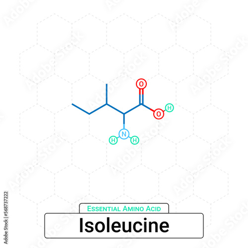 Isoleucine Chemical Structure Essential Amino Acid Organic Molecules, Functional, Side Chain, Carboxyl, Amino Group, Protein Building Block Isolated on Whited Background, Chemistry, Biology
