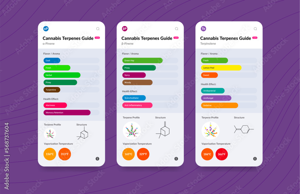 UI Cannabis Terpene Guide Information Chart. Aroma and Flavor with