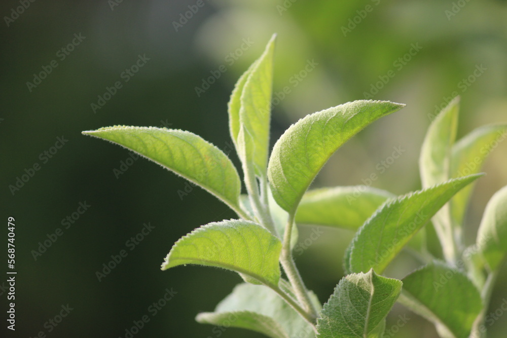Beginning of life Beginning of life