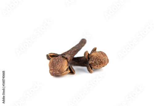 Soft focus on seasoning clove on white background. Focus is on the front branch, the back is blurred.