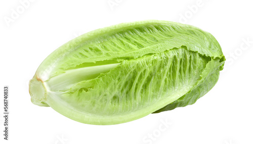 Fresh cos lettuce isolated on transparent png