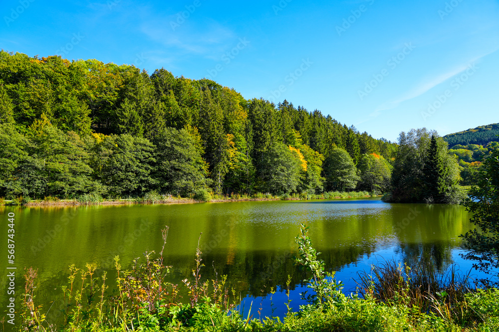 Green nature at a pond near Willingen. View of the lake with the surrounding landscape in the Sauerland.
Green nature at a pond near Willingen. View of the lake with the surrounding landscape in the Sauerland.