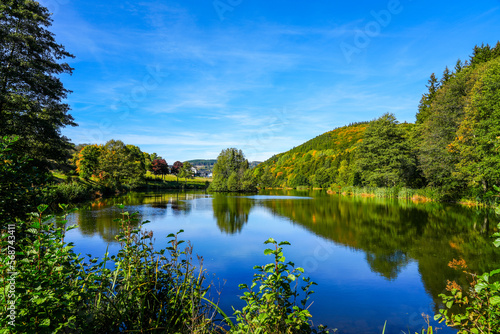 Green nature at a pond near Willingen. View of the lake with the surrounding landscape in the Sauerland. 