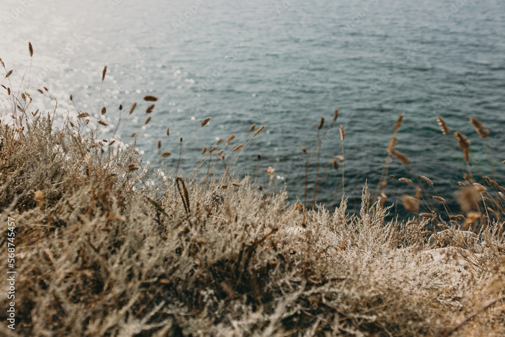 Selective focus of seascape with blurred dry grass growing on coastline with blue sea sparkling under sun on background. Spending vacations in solitude in wild nature far away from home Selective focus of seascape with blurred dry grass growing on coastline with blue sea sparkling under sun on background. Spending vacations in solitude in wild nature far away from home