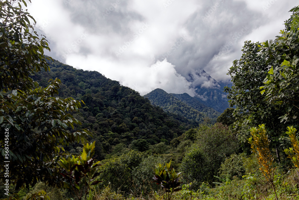 Die wundervolle tropische Welt von Borneo Die wundervolle tropische Welt von Borneo