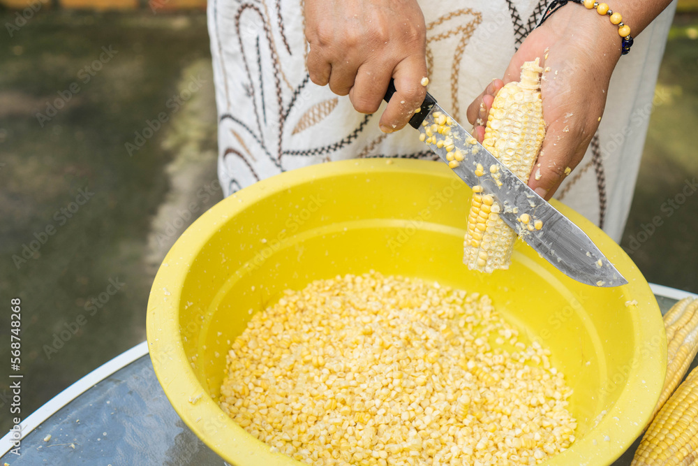 Woman shelling corn for the dinner. Woman shelling corn for the dinner.