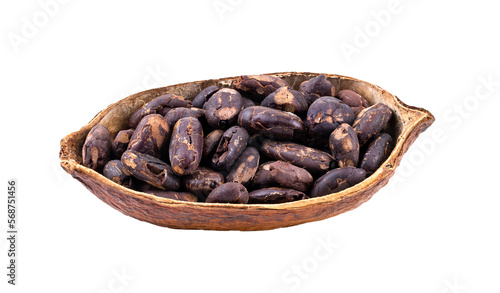 Cocoa isolated on transparent png