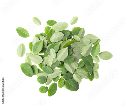 Moringa leaves on transparnt png