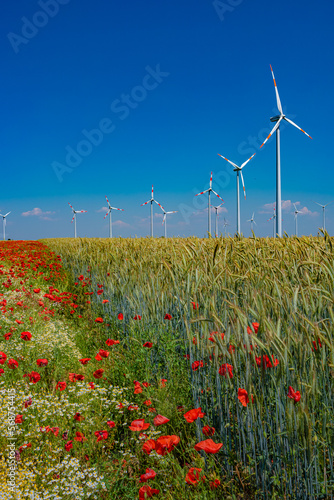 Cover page over beautiful meadow field farm landscape, poppies, marguerite flowers, wheat, and wind turbines to produce green energy in Germany, at blue sky sunny day