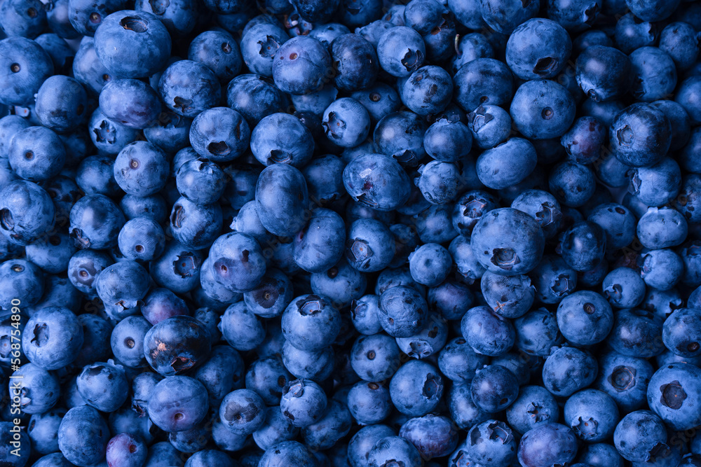 Fresh blueberry background. Texture blueberry berries close up. Fresh blueberry background. Texture blueberry berries close up.