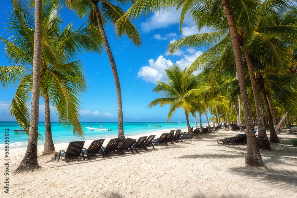 Fototapeta premium Amazing tropical paradise beach with white sand, coconut palms, sea and blue sky, outdoor travel background, summer holiday concept, natural wallpaper. Caribbean, Saona island, Dominican Republic