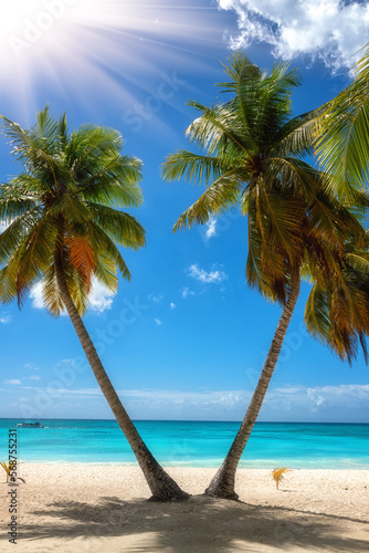 Fototapeta Naklejka Na Ścianę i Meble -  Amazing tropical paradise beach with white sand, coconut palms, sea and blue sky, outdoor travel background, summer holiday concept, natural wallpaper. Caribbean, Saona island, Dominican Republic