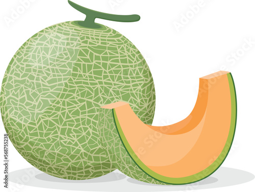 Set of cantaloupe melon fruit isolated on white background