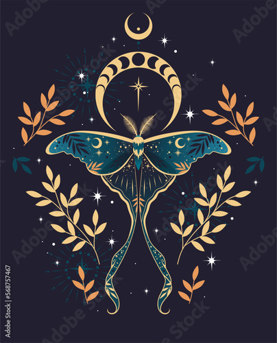 Vector illustration of moon moth. For print for T-shirts and bags, decor element. Mystical and magical, astrology illustration