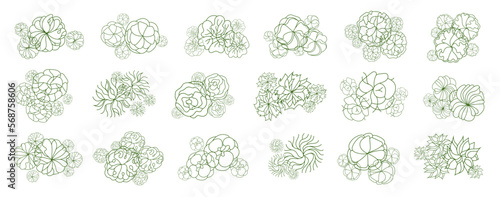Tree for architectural floor plans. Entourage design. Various trees, bushes, and shrubs, top view for the landscape design plan. Vector illustration.