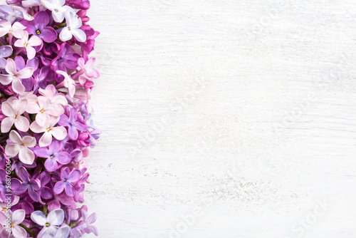 Different  tiny flowers of Lilac on the  white wooden shabby background. Floral border. Flat lay.