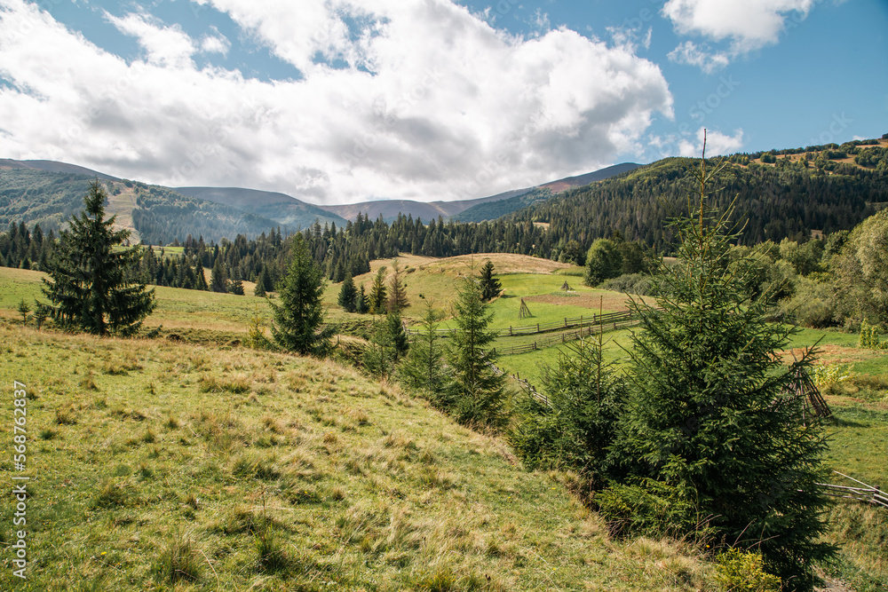 Ecosystem concept. hills with coniferous trees near mountains and forest and cloudy sky. Ecosystem concept. hills with coniferous trees near mountains and forest and cloudy sky.