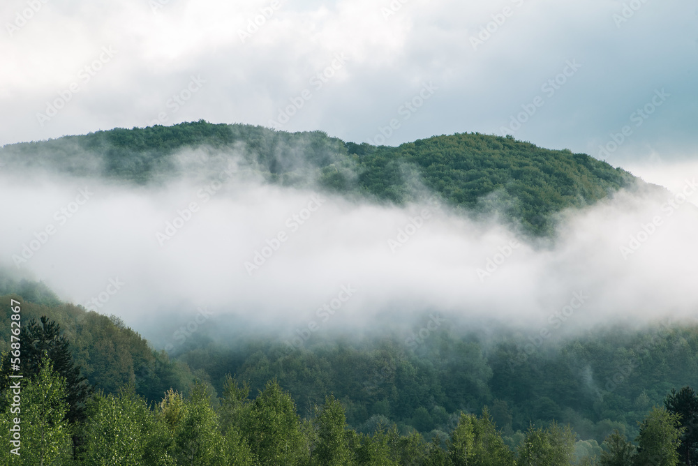 morning fog in the mountains. foggy day