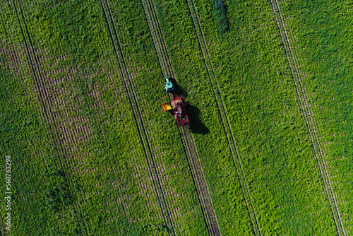 Potato harvesting with a heavy industrial machine. Potato plantation in agriculture industry  view from above in the summer season.
