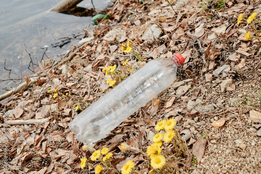 Empty plastic bottle on shore of forest lake next to blooming flowers, view from above