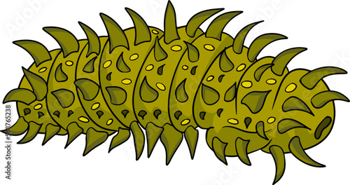 Sea cucumber. Hand drawn underwater creatures. Vector sea life, seafood. Colored marine animals photo