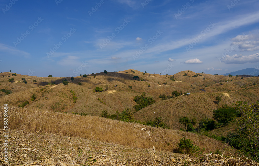 Image of the mountain during the dry season without green trees Suitable for making background images. Image of the mountain during the dry season without green trees Suitable for making background images.