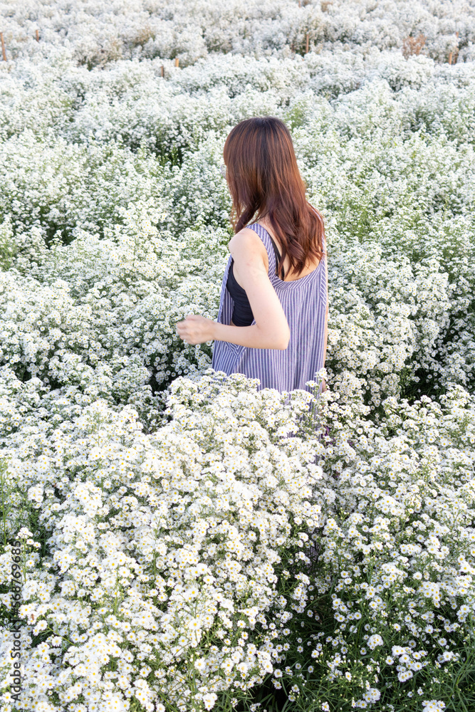 Asian women traveling and having fun in a flower field that has been planted for tourists to visit and take photos in the flower garden in winter in Chiang Mai where the flowers are in full bloom. Asian women traveling and having fun in a flower field that has been planted for tourists to visit and take photos in the flower garden in winter in Chiang Mai where the flowers are in full bloom.