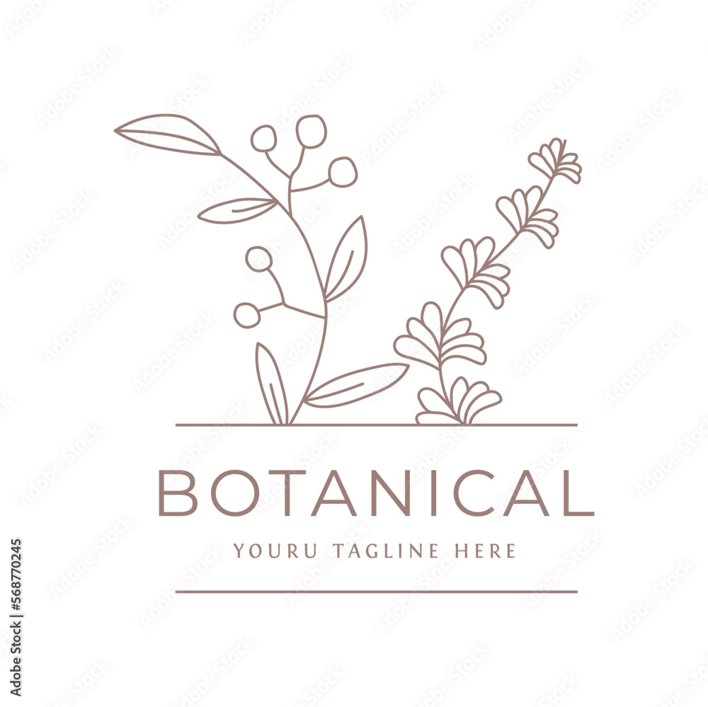 Botanical Minimalistic, Feminine Logos with Organic Plant Elements. Vector illustration