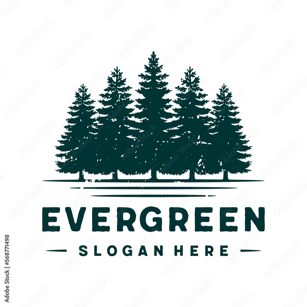 evergreen, pine trees logo design template vector evergreen, pine trees logo design template vector