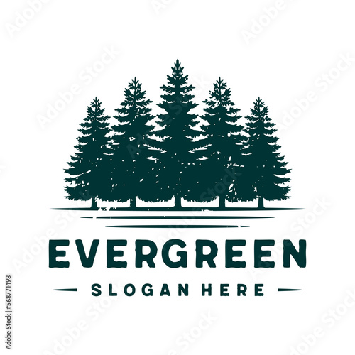 evergreen, pine trees logo design template vector