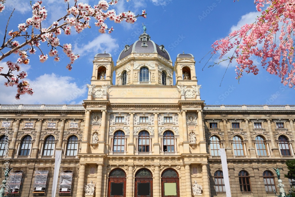Vienna, Austria. Landmark museum building. Spring time cherry blossoms.