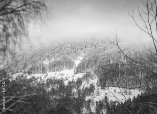 Fototapeta Naklejka Na Ścianę i Meble -  Bieszczady zimą