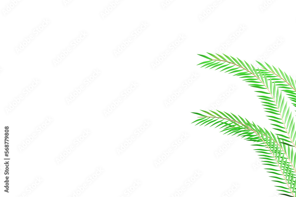 Fototapeta premium background, green, leaf, palm, illustration