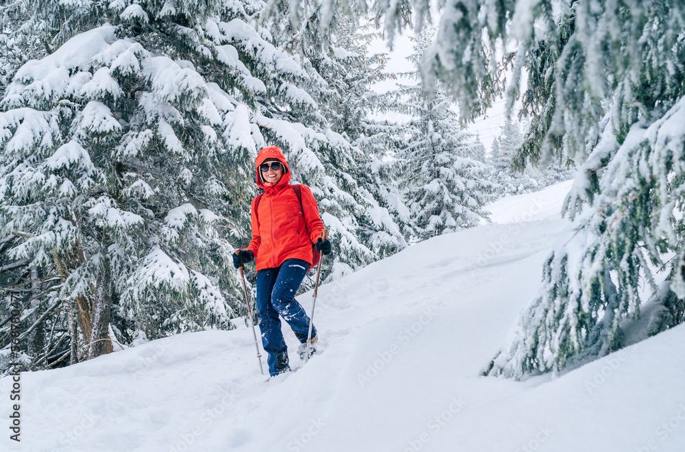 Smiling female trekker dressed red jacket in sunglases with trekking poles walking by snowy slope with fir-trees covered snow, Low Tatra mountains, Slovakia. Beauty in Nature and active people concept