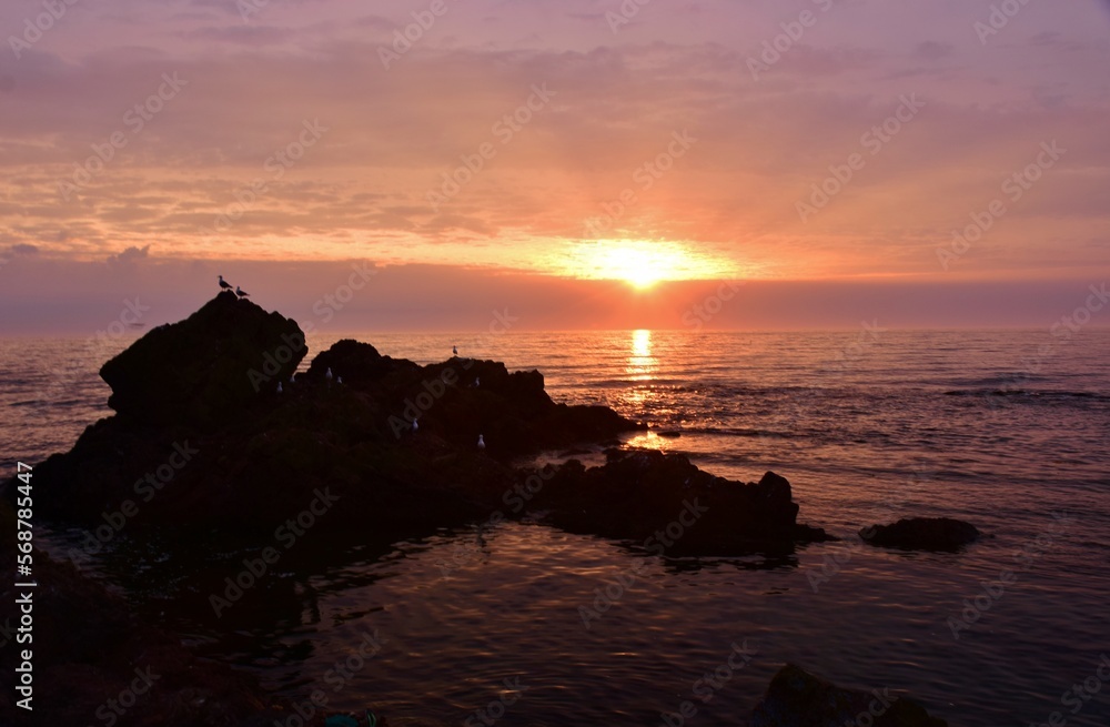 Fototapeta premium 礼文島から望む日の出