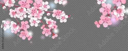 Branches of cherry blossoms on a transparent background. For spring greeting cards and cosmetics packaging. Branches with pink sakura blossoms. Vector illustration. © Tata Pilip
