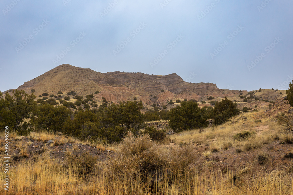 Small mountain range with cliff face behind yellow grass and brush in rural