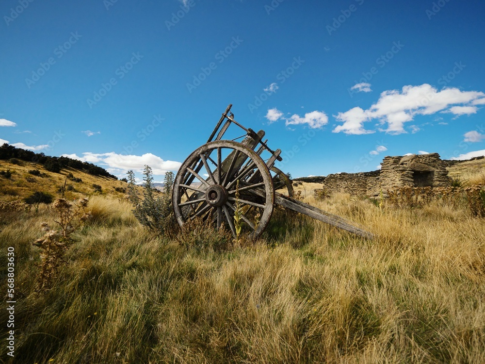 Remains of old traditional wooden wheel cart, agriculture farming tool in high grass at Bendigo settlement New Zealand