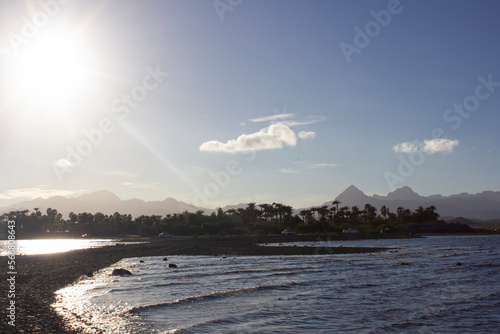 Beach view with palm trees and mountains in the background