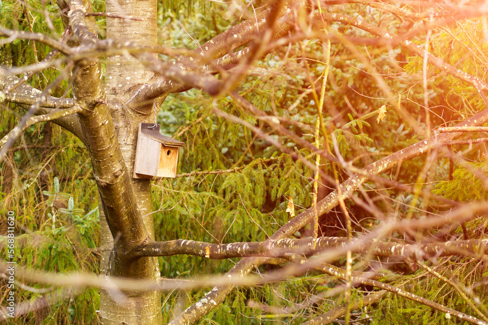Obraz premium Homemade wooden birdhouse in the spring forest