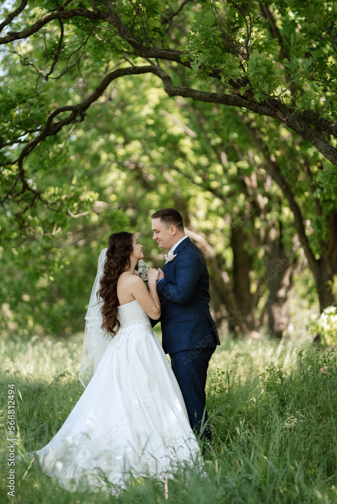 the groom and the bride are walking in the forest the groom and the bride are walking in the forest