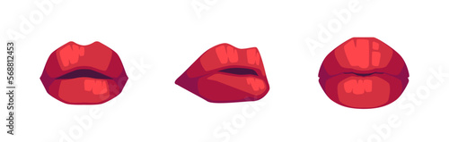 Plump Women Lips with Bright Red Lipstick. Sensual Female Mouths Open Slightly and Buttonhole Icons. Vector Illustration
